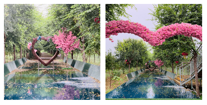 周末,一个近距离感受春天的好地方_花海_新沟_海棠