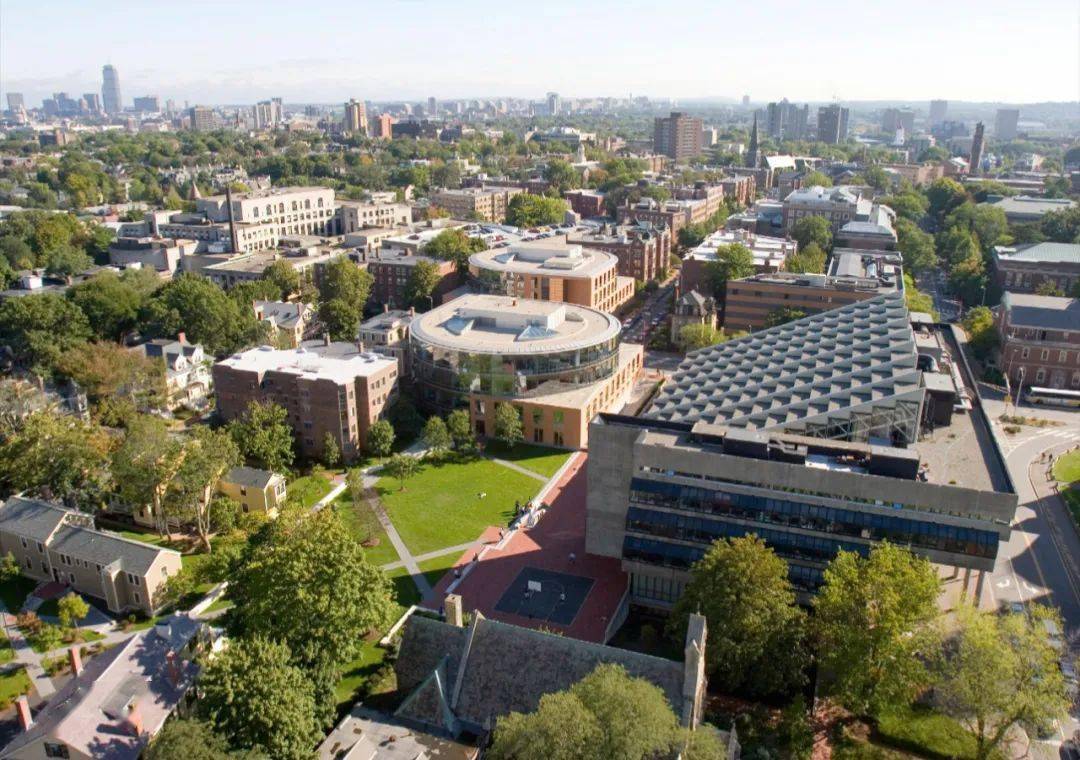 "职"点迷津| 梁芳蕾:我与哈佛大学有个春天的约会_设计_就业_孩子