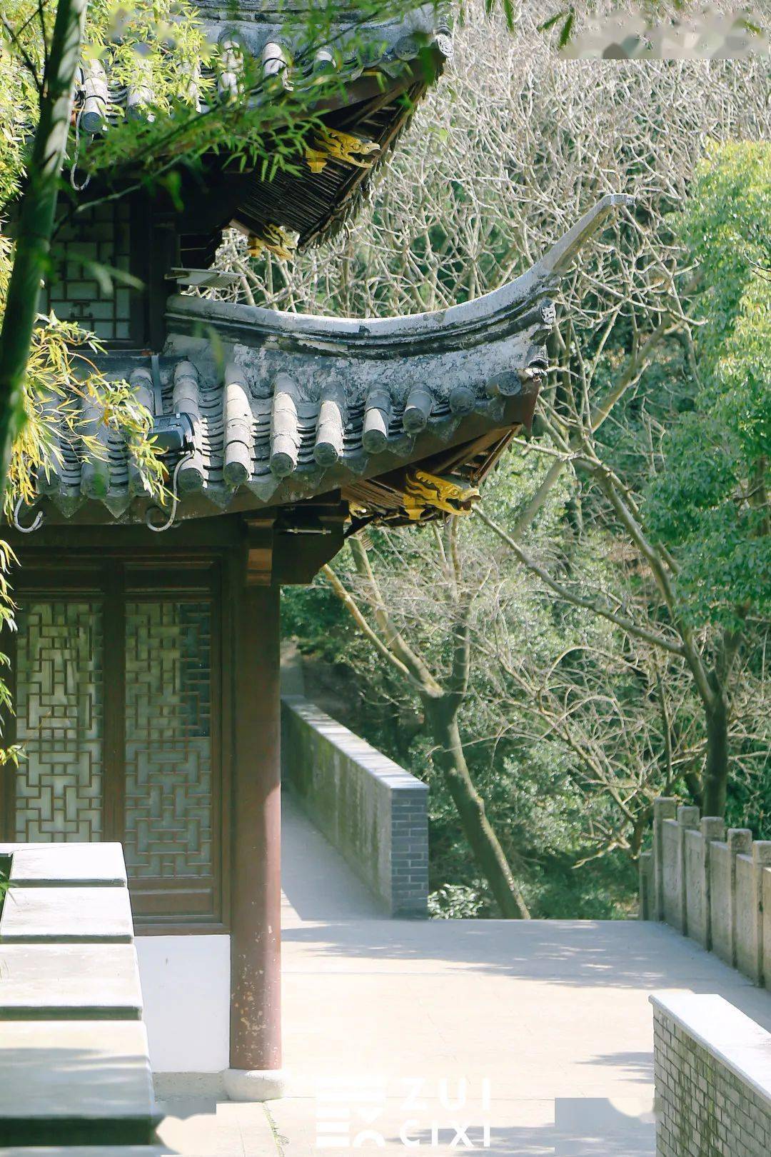 慈溪这个免费停车场开始收费了,就在峙山公园附近……_天气_登山_梅花