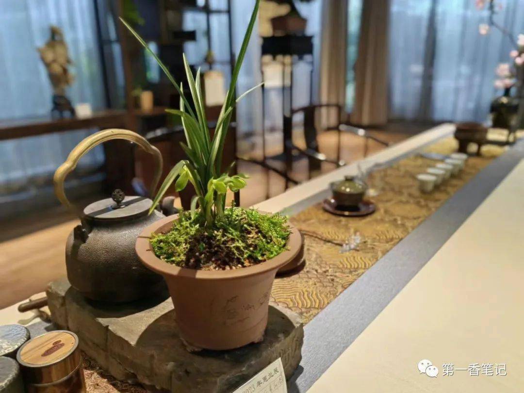 1042:雅致的靖江蕙兰展古风依存_兰花_江苏_牡丹