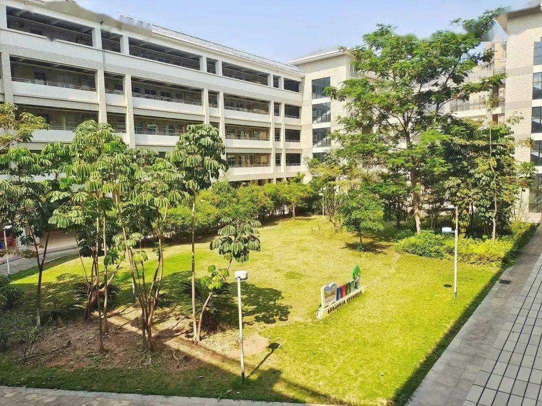 南城公办初中知多少?一文带你去了解(附学区划分)_办学_东莞_管理