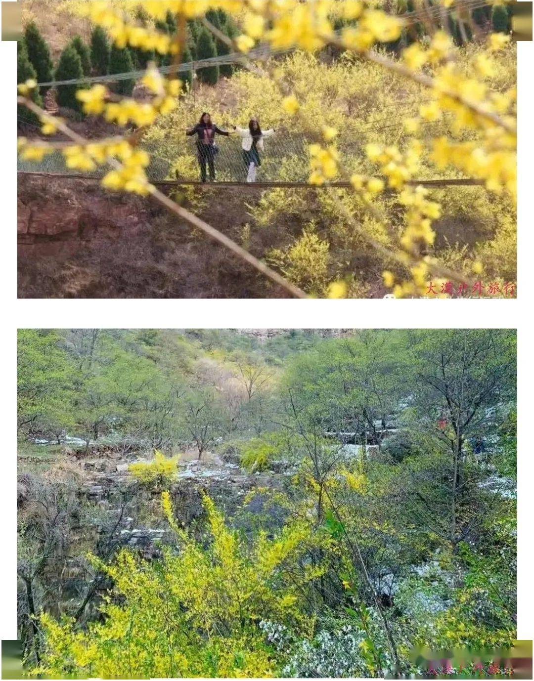 徒步磨寨山穿越洞阳坡赏连翘走吊桥