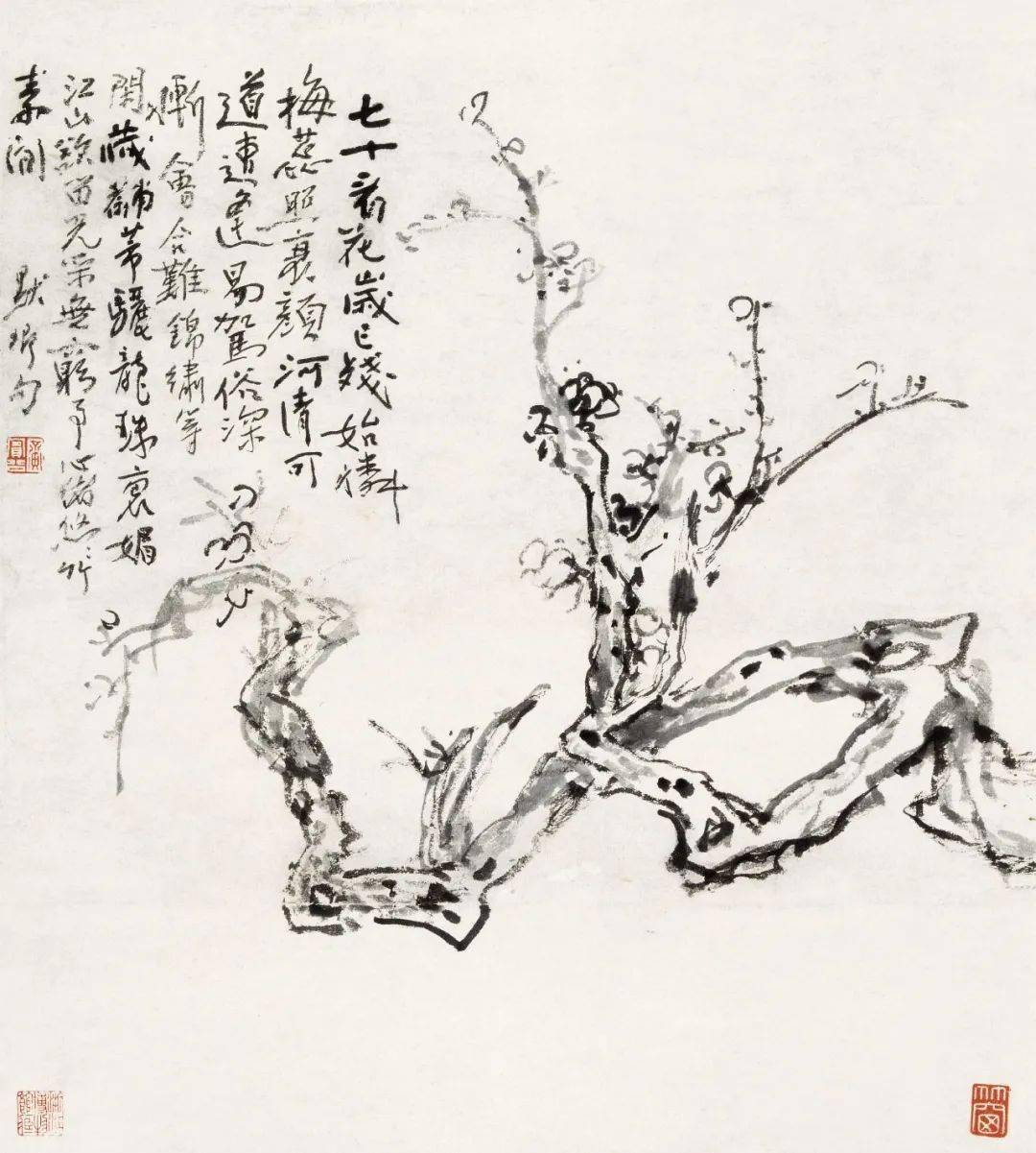 潘天寿：黄宾虹的花鸟，有水流花放之妙_cm_浙江省博物馆_花卉