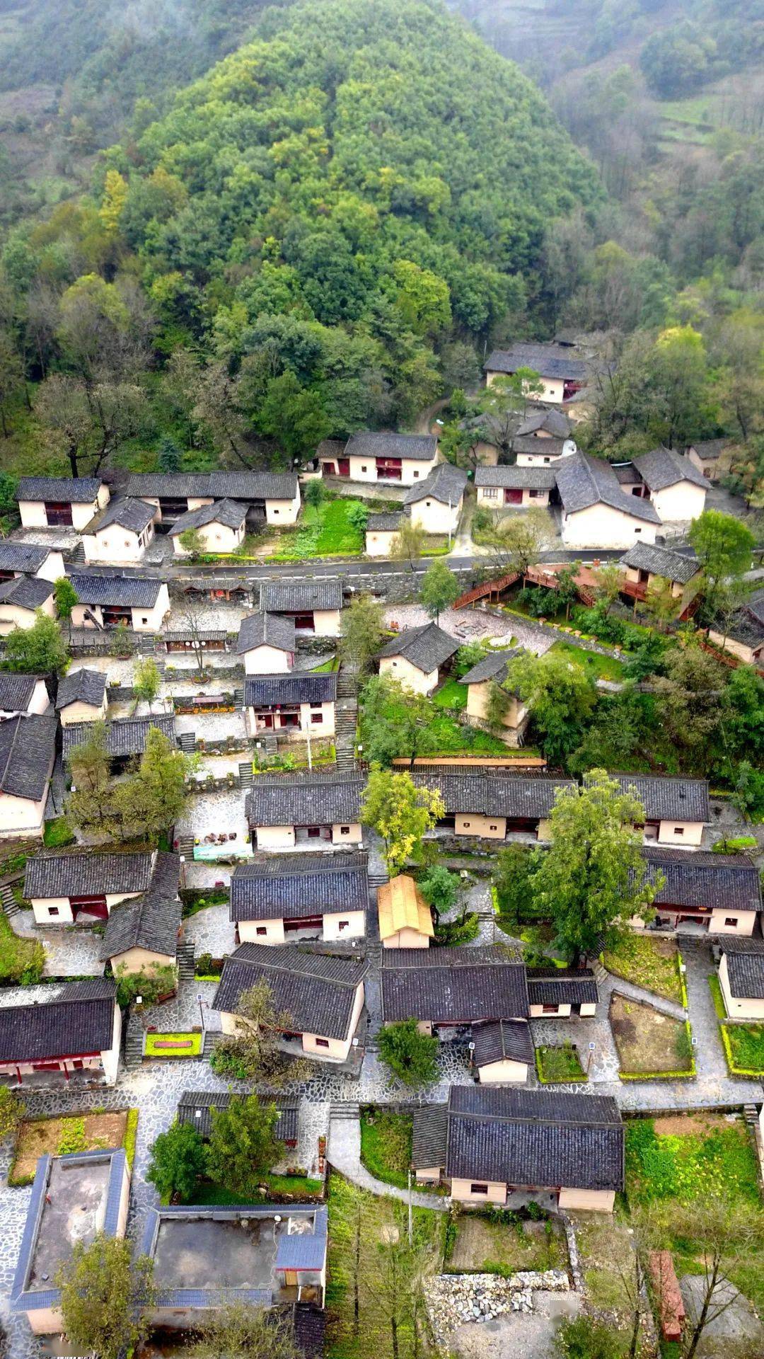 陇南康县历史大官图片