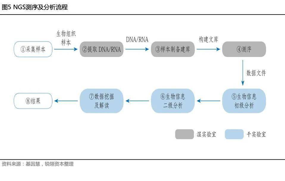 详细解读遗传病基因检测诊疗现状_染色体_技术_临床