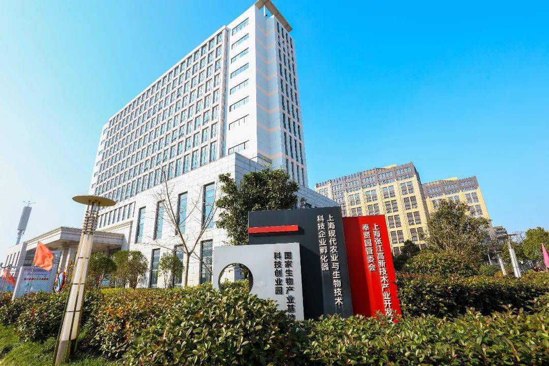 奉贤武汉阳网站建设 来自搜狐网
