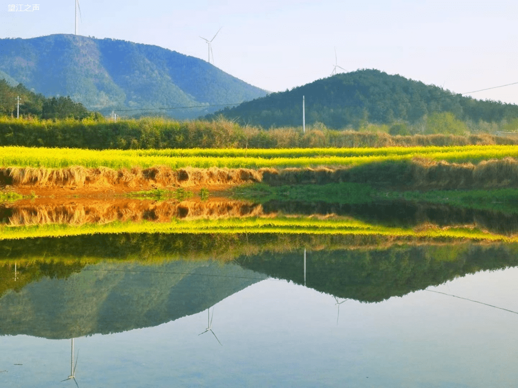 春日的安徽省安庆市望江县鸦滩镇草木葱茏,花开遍野.