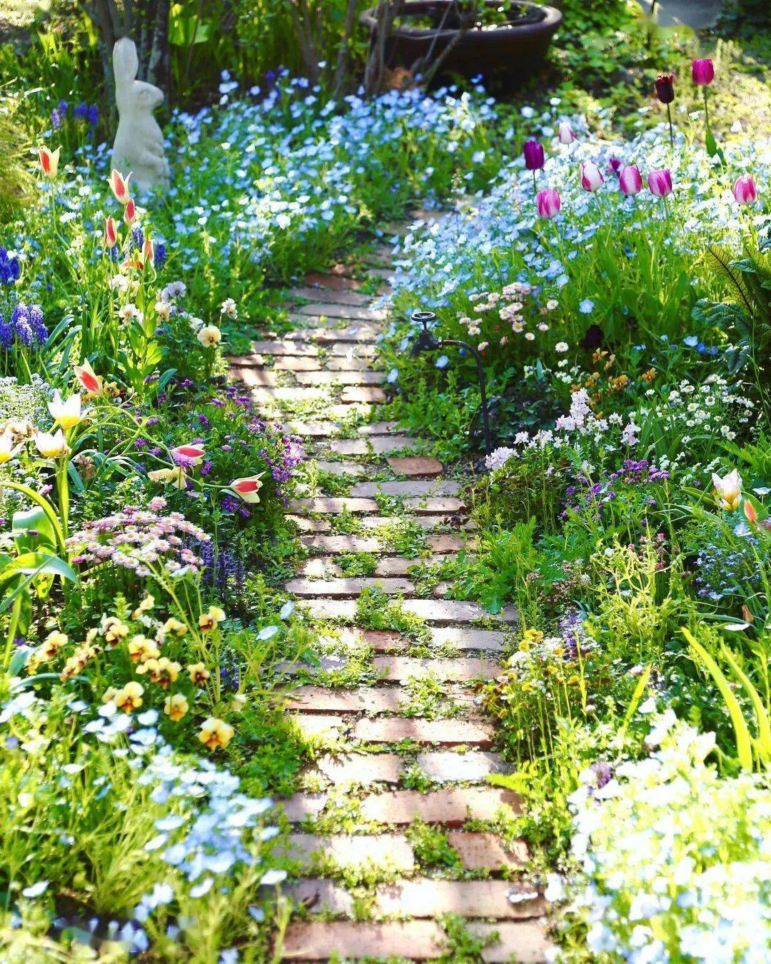 花园小径,美丽自然_photo_by_花海