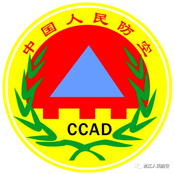 省国动办青年理论学习第二,第五小组开展第一季度组