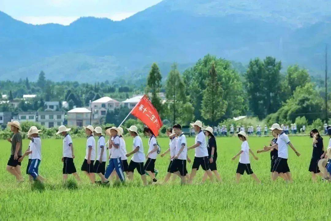 梅田湖研学旅行感想图片