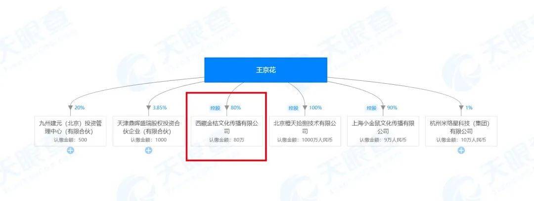 天眼查限制消费令变历史记录事是什么意思（在天眼查上有自身风险） 第6张