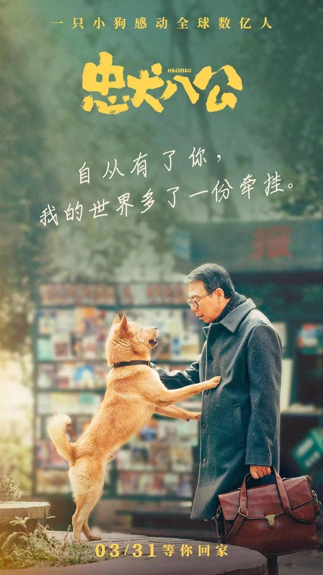 忠犬八公为什么被禁图片