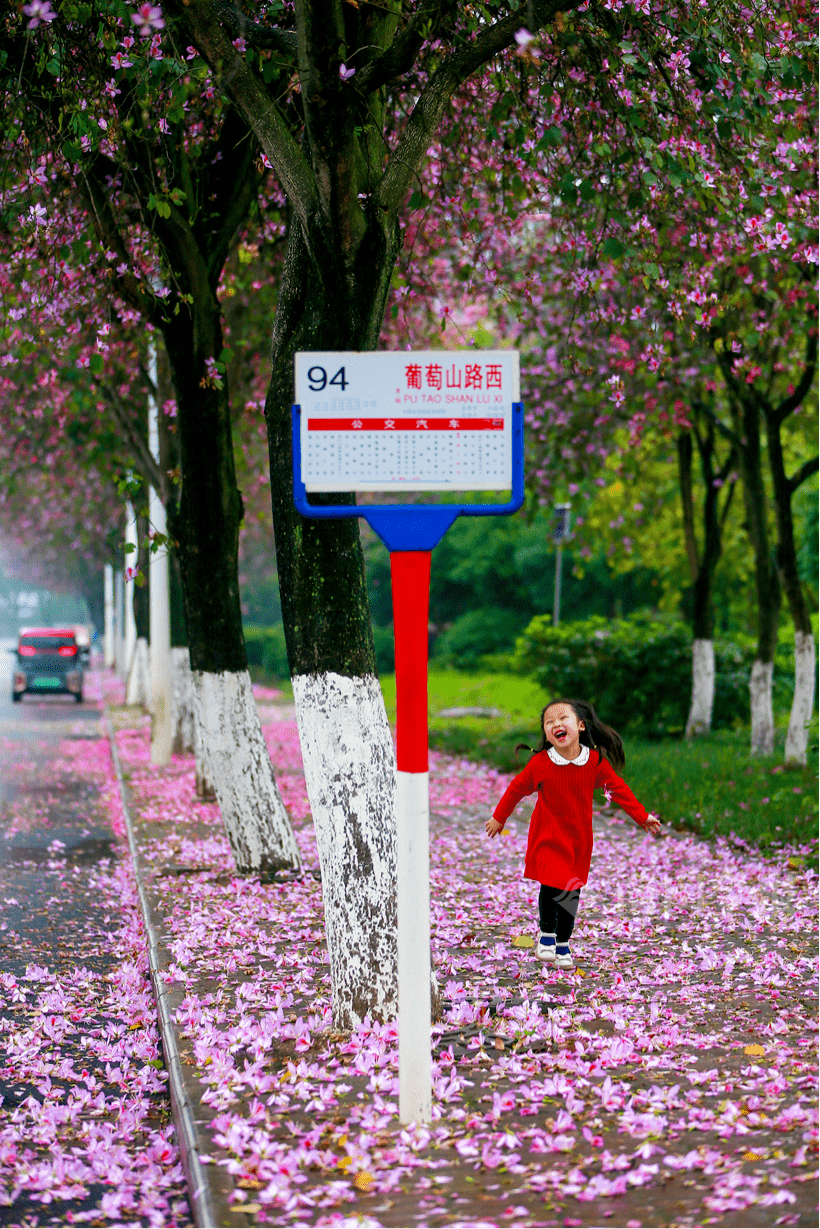 雨后，柳州94路公交车站台美成仙境~~~~