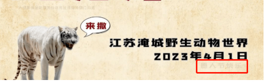 一小时奖10万？动物园重金赏格"与虎同驻帐篷"