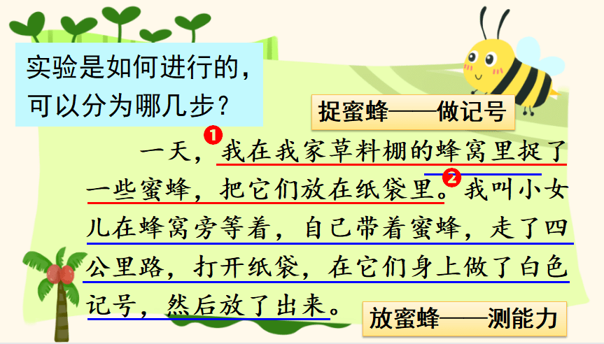 《古诗三首》课文2《燕子》课文3《荷花》课文4《昆虫备忘录》习作