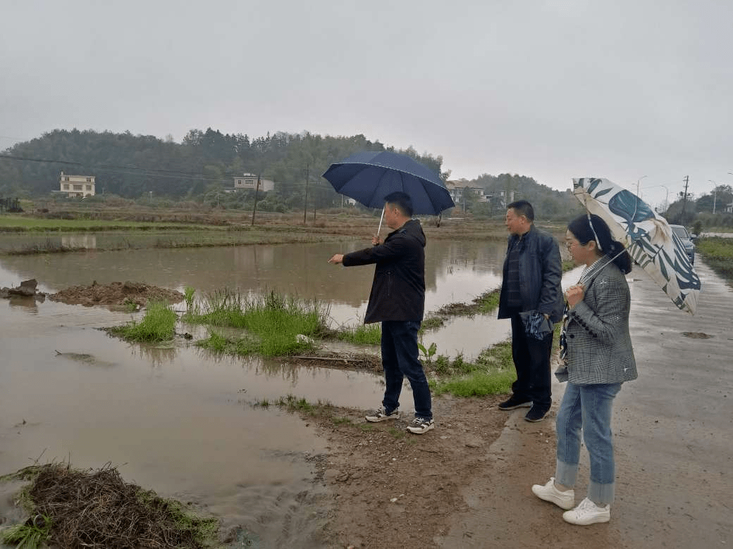 【乡镇人大】靖安县双溪镇人大:人大代表闻"汛"而动 筑牢防汛"安全堤