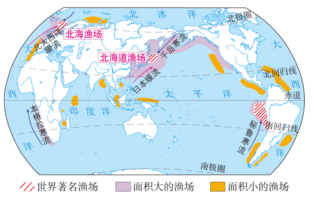 【每日一图】世界四大渔场分布图