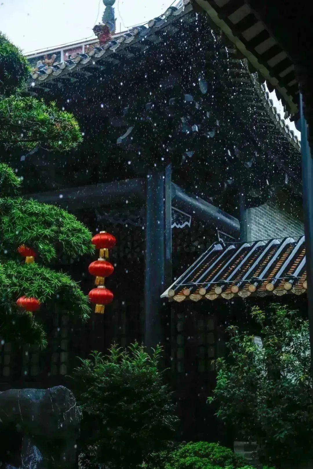 今日清明|岭南烟雨俏,顺德春正浓_春雨_佛山_雨水