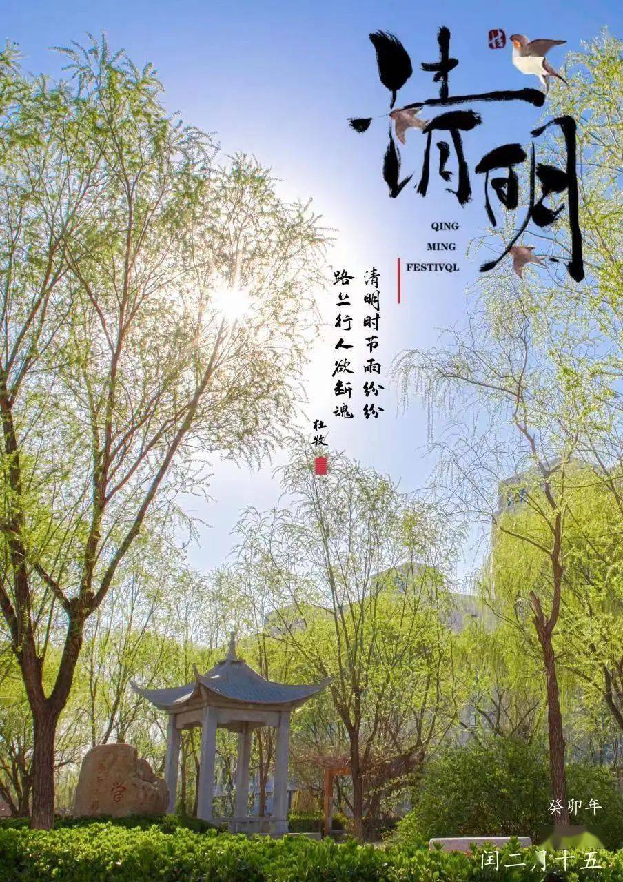 今日清明,又是一年清明日,春风万里寄哀思 ._山东_工程_节气