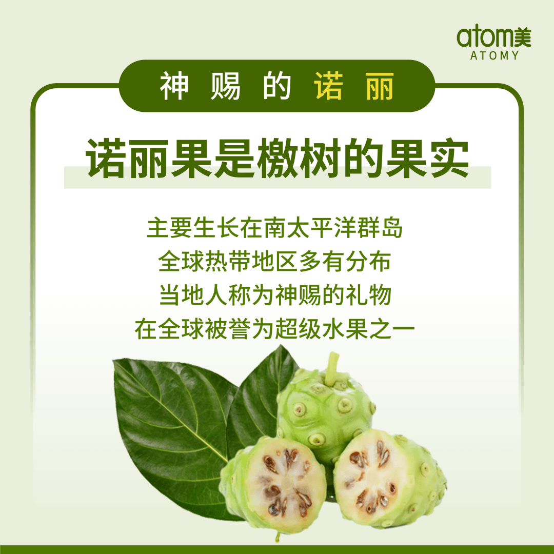 艾多美健康知识 | 营养丰富的诺丽果_版权_世界_文章