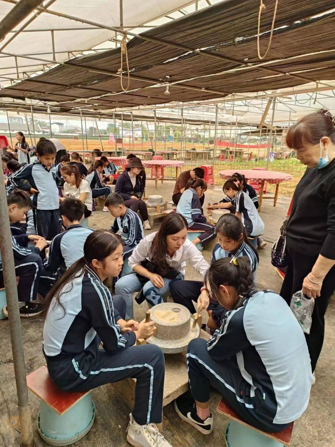 【活动回顾】我和水稻共成长,滨湖路小学长虹校区五年级5班春耕插秧