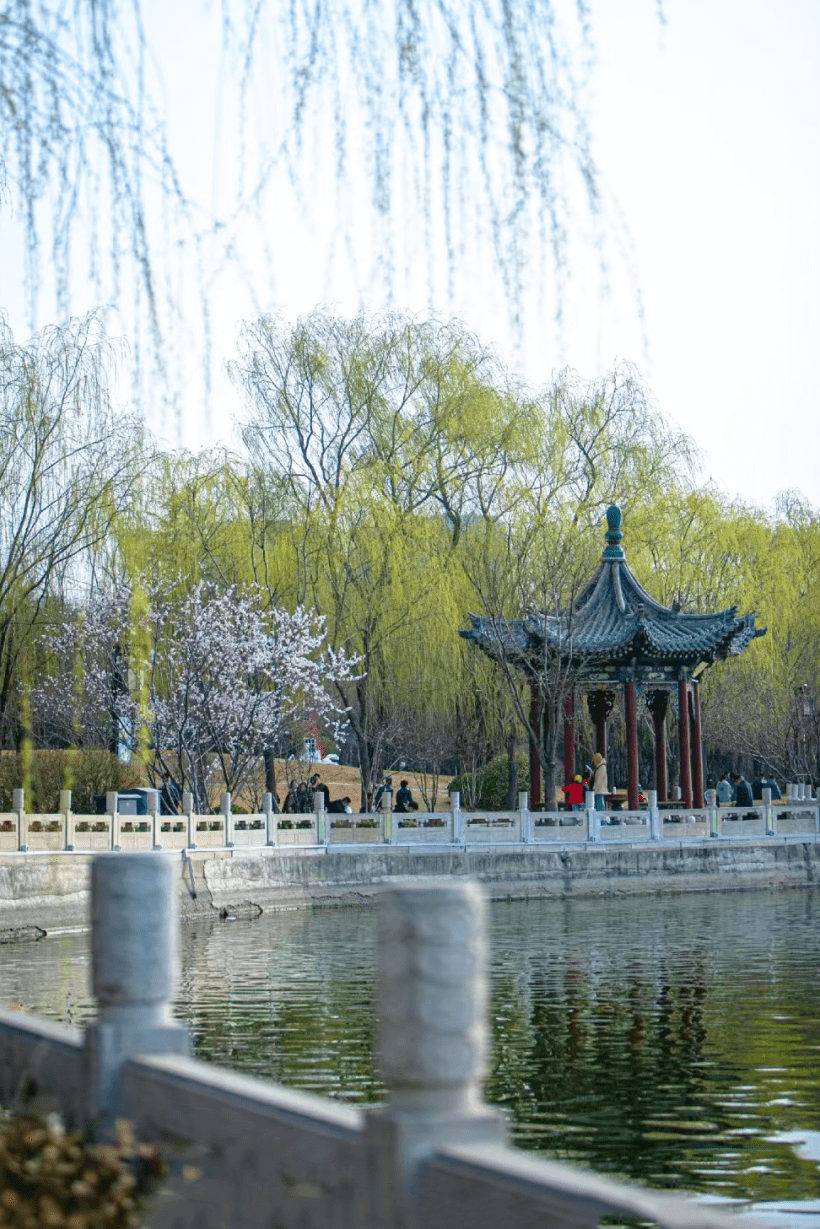 太原迎泽区:湖里波光倒映旖旎迎泽_倒影_汾河_湖面