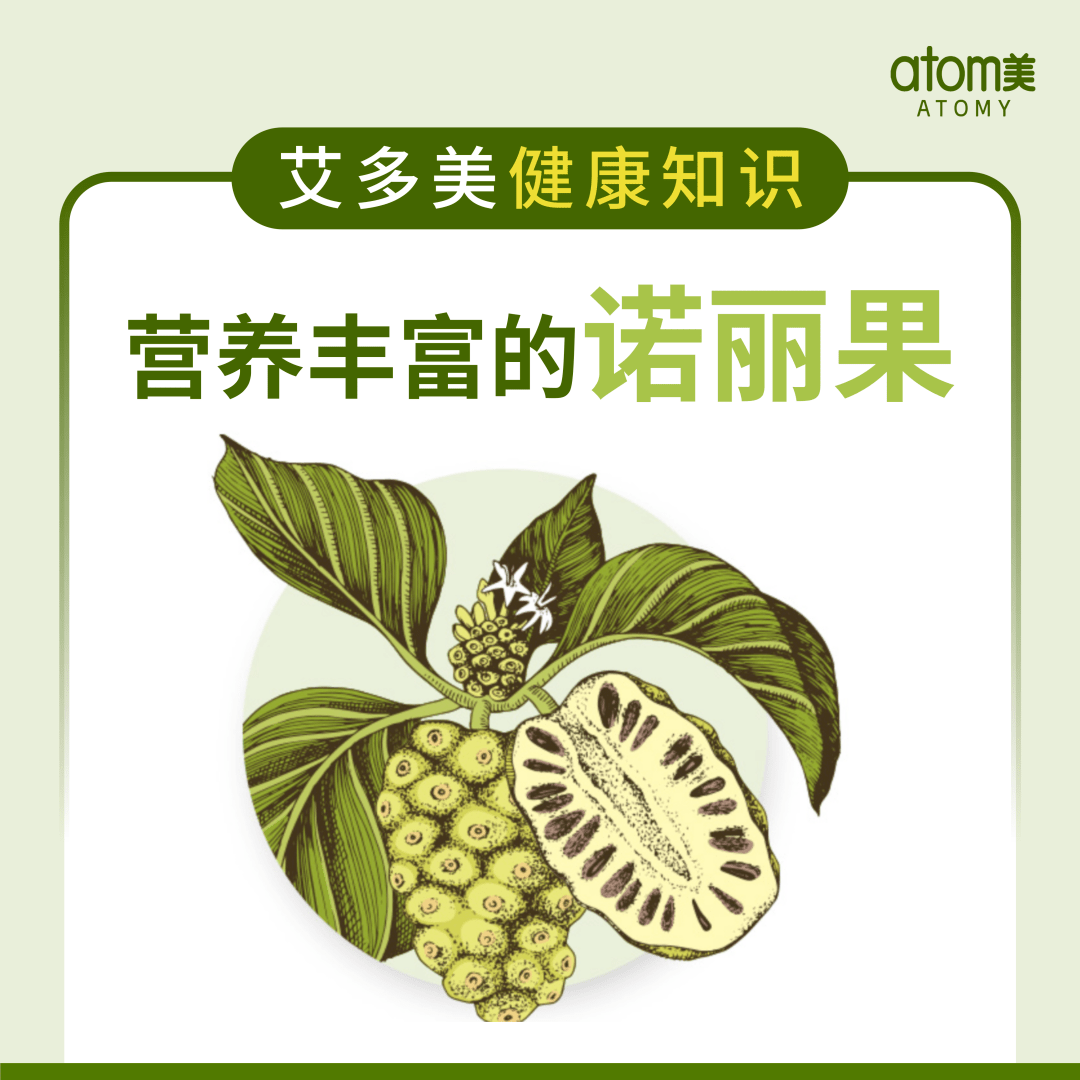 艾多美健康知识 | 营养丰富的诺丽果