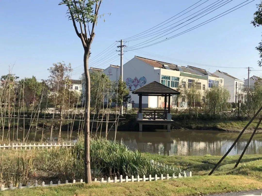 新北,第一等次_农村_奔牛镇_整治