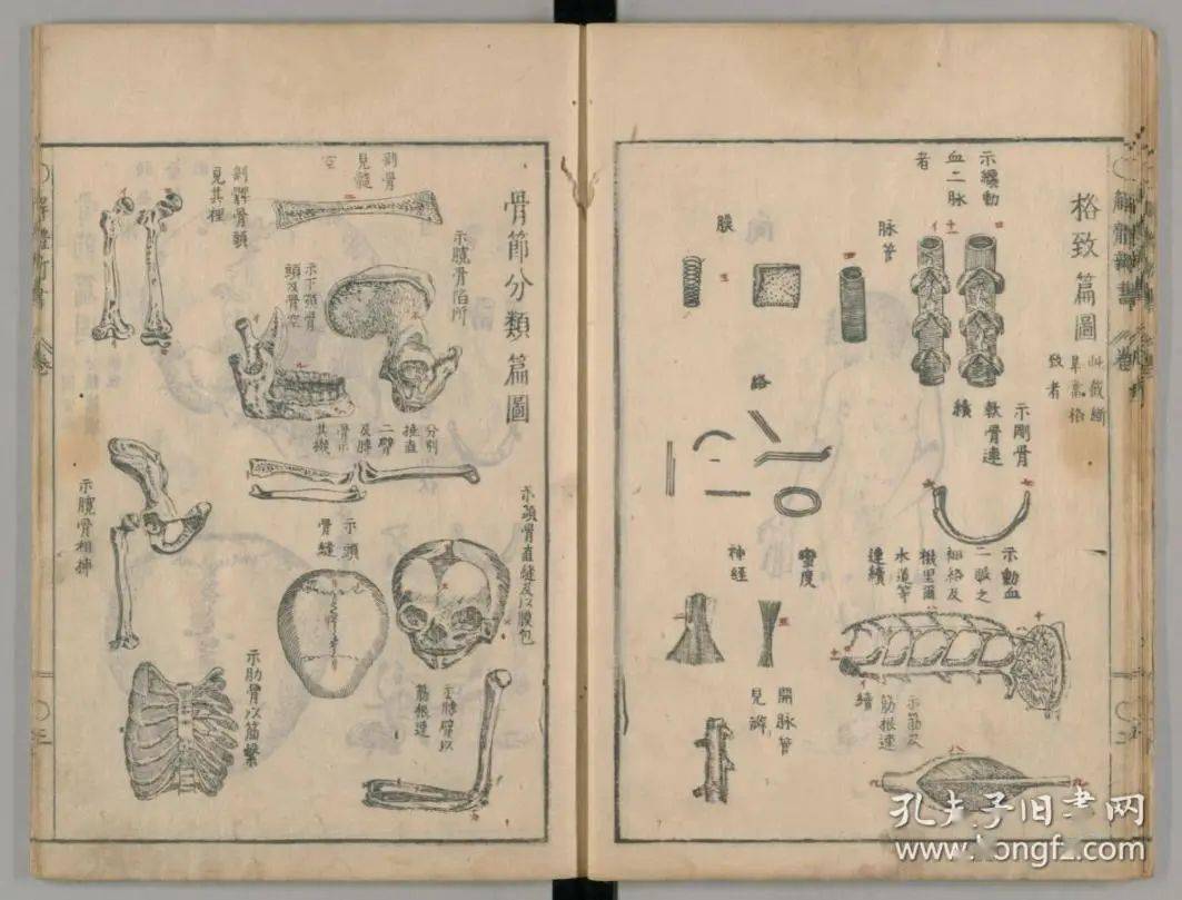 江户时代的疫病与日本兰学的兴起_手机搜狐网