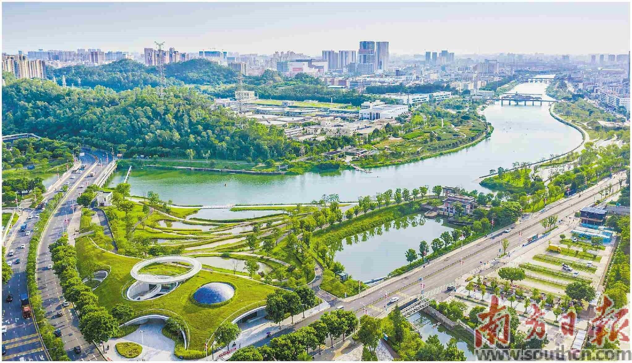 茅洲河背后的宝安治水之道_污染_污水_深圳