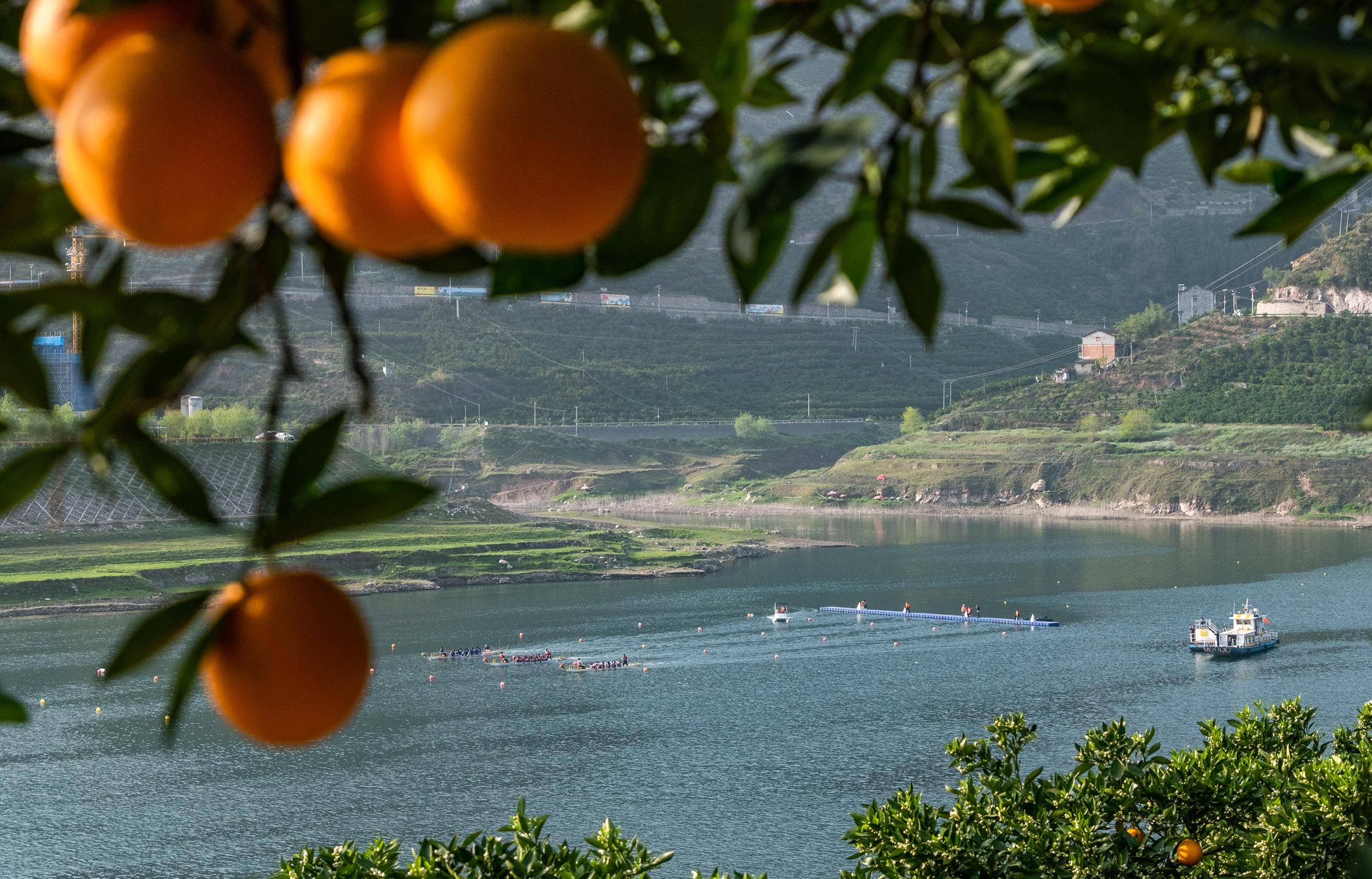 (社会)湖北秭归:特色旅游助力乡村振兴_新华社_水田坝乡_摩托车