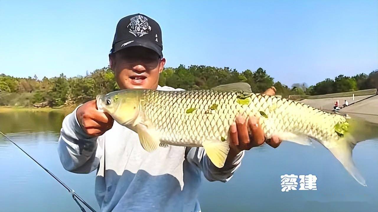 蔡建离开钓鱼圈数年之后,可以说已经错过了黄金发展