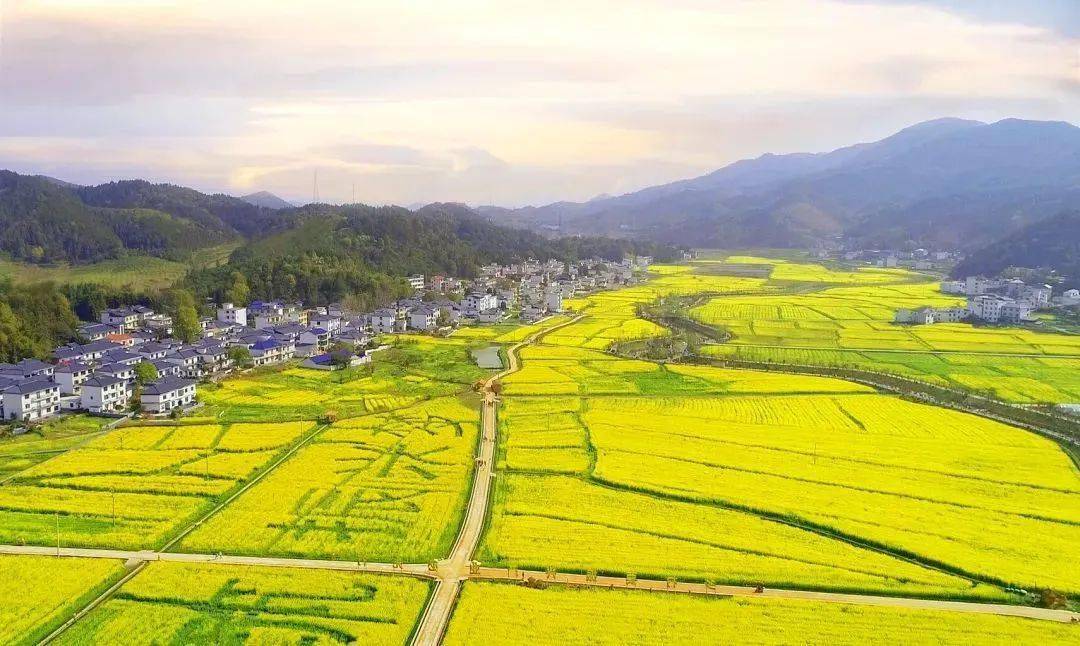 走进上栗县赤山镇湾里村,四通八达的沥青路平坦整洁,白墙灰瓦的精品