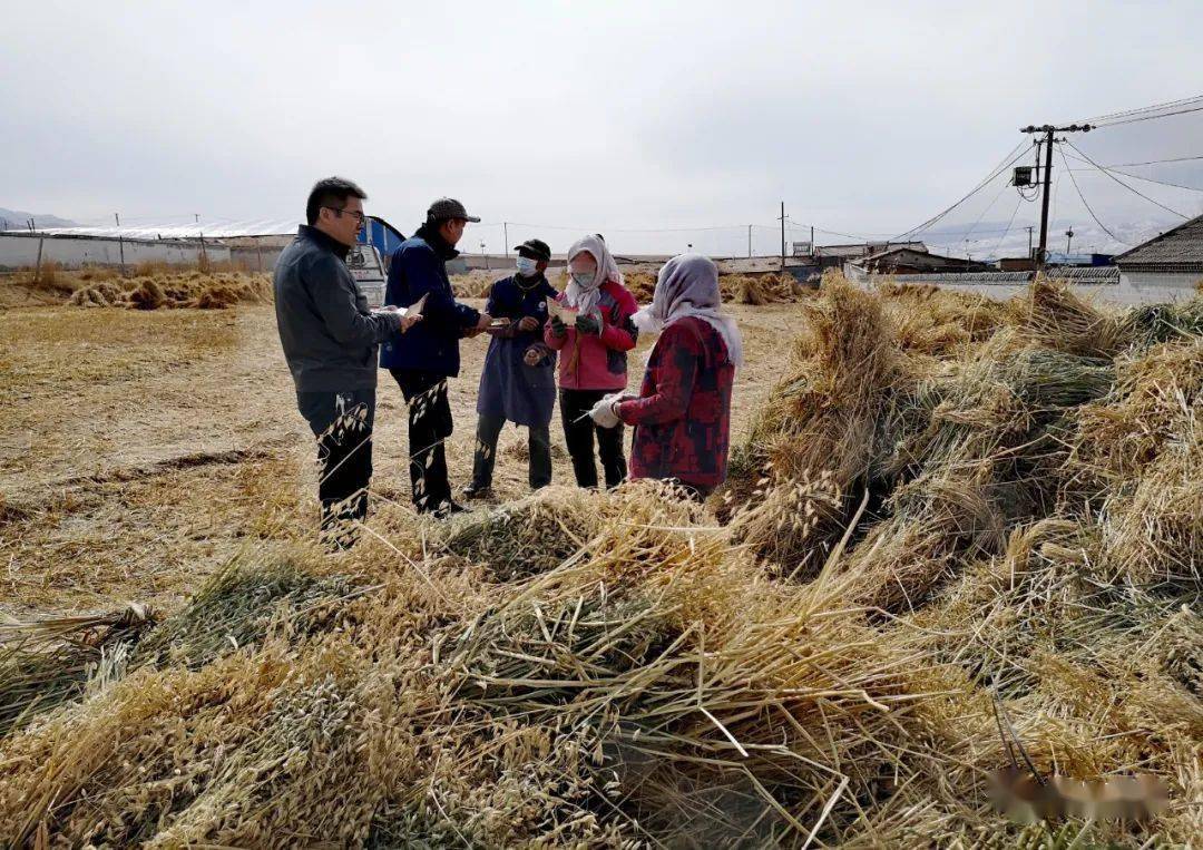 海北州海晏县金滩乡入选2023年农业产业强镇创建名单_加工_项目_收入