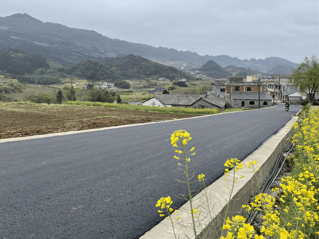 【项目竞进年】筠连县团林至蒿坝段龙盘大道黑化工程即将完工!