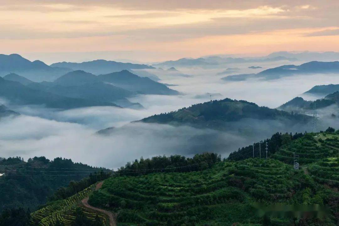 【全国招募】浙南全景之茗岙梯田,楠溪江渔火,云和梯田,古堰画乡,松阳