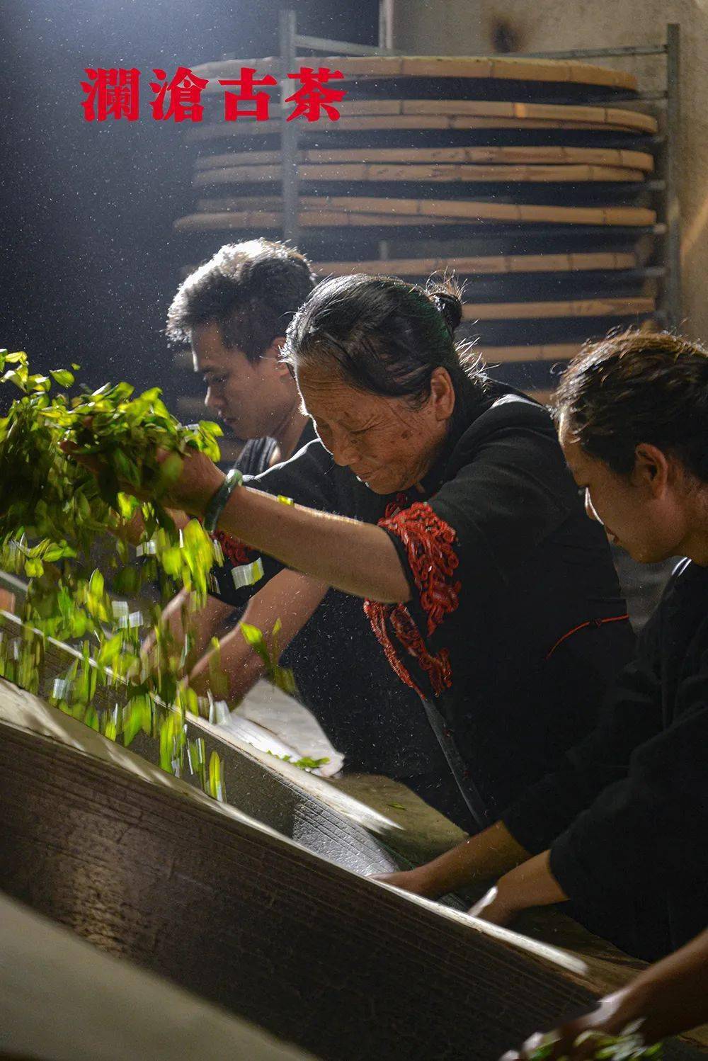 台湾非遗制茶（台湾非遗制茶大师是谁呀） 第5张