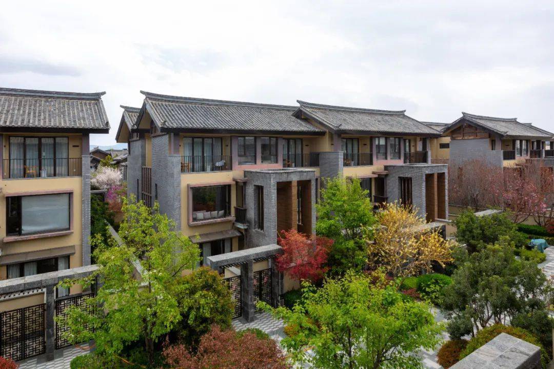 人间四月天,艳遇雪山下 | 去有花的地方,看醉美的风景_丽江_宾客_别墅