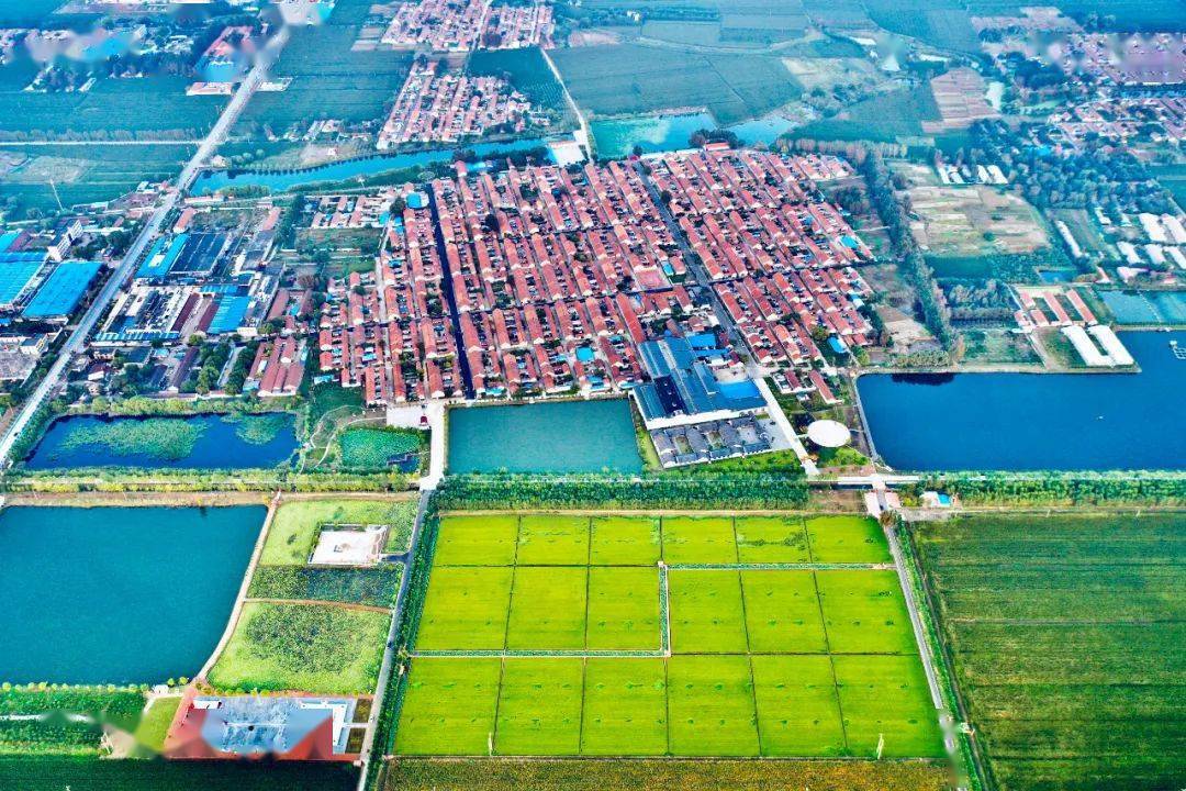 他山之石 | 山东省昌邑市柳疃镇青阜村:碧水环绕的梦里水乡_村庄_李发