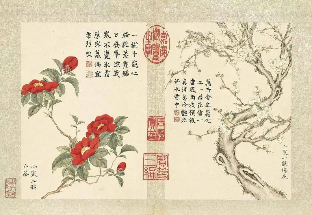 董诰清花卉《二十四番花信风图》册页】_梅花_候应_节气