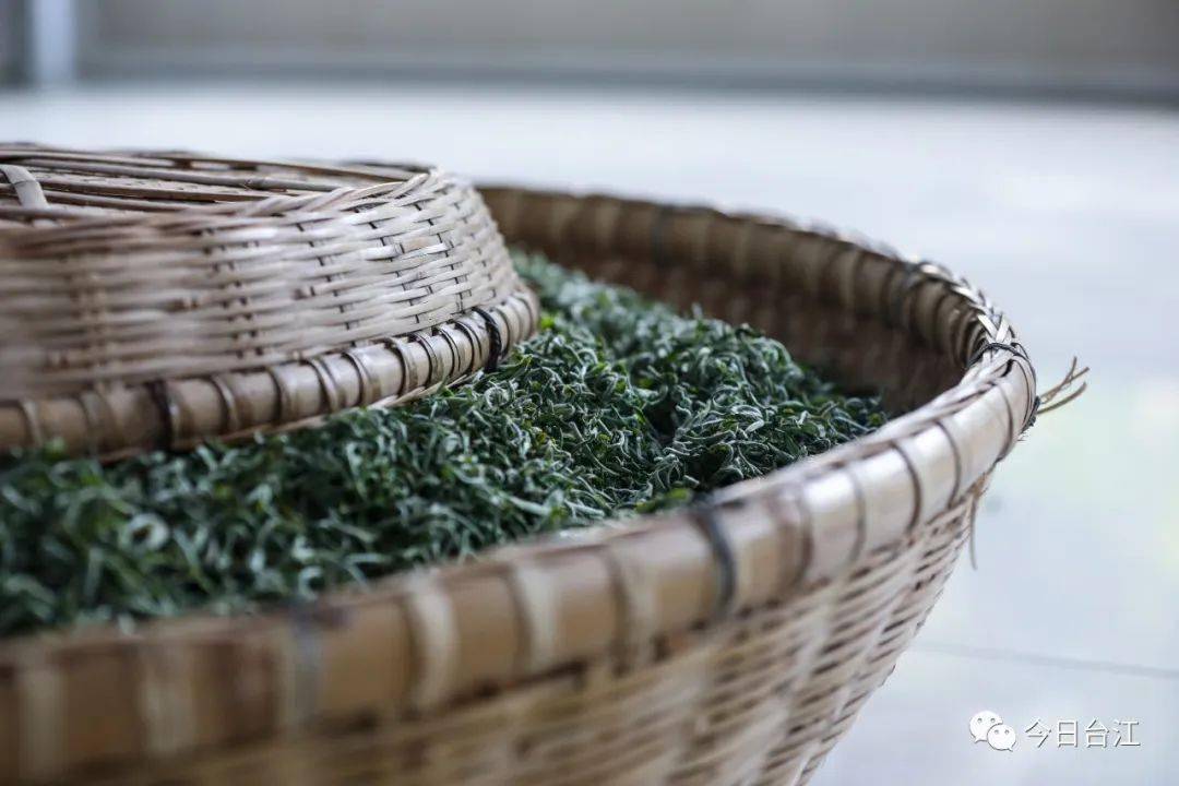 【奋进的春天】台江:满园茶香浓 采茶制茶忙_茶叶_贵州_高原