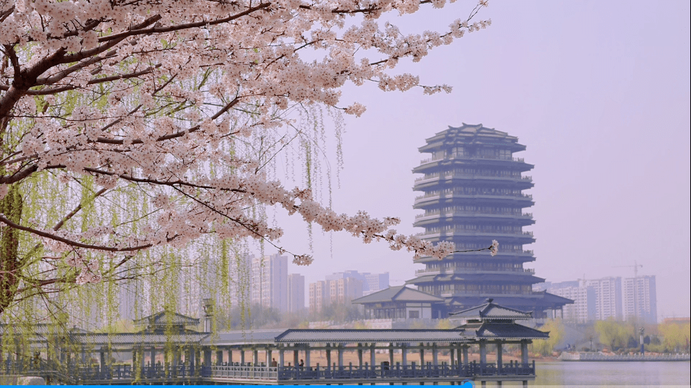 新晋“烧烤届”顶流！暴火后誓死不坑旅客，一顿吃撑才花五六十，想立马坐高铁去...