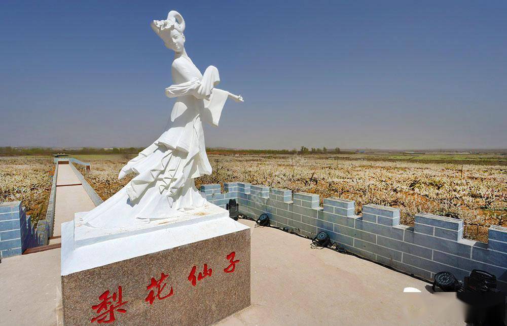 烟台莱阳:万亩梨花怒放_照旺庄镇_原产地_摄影