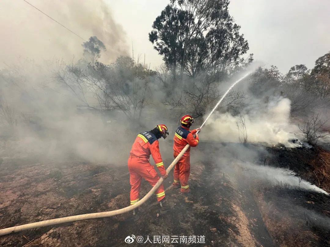 玉溪森林火灾已得到有效控制_灭火_江川_进行