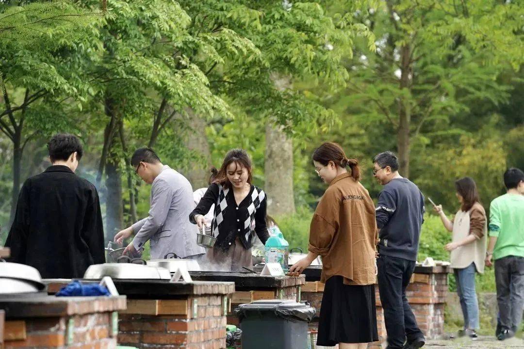 这个节日属于桐乡人_乡村_活动_野火
