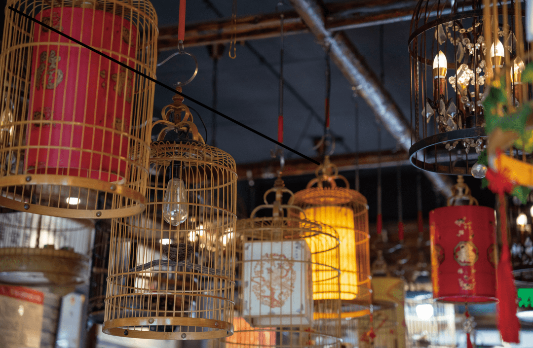 大欧鸟笼:手艺人的匠心坚守_吴彬_金昌_即墨