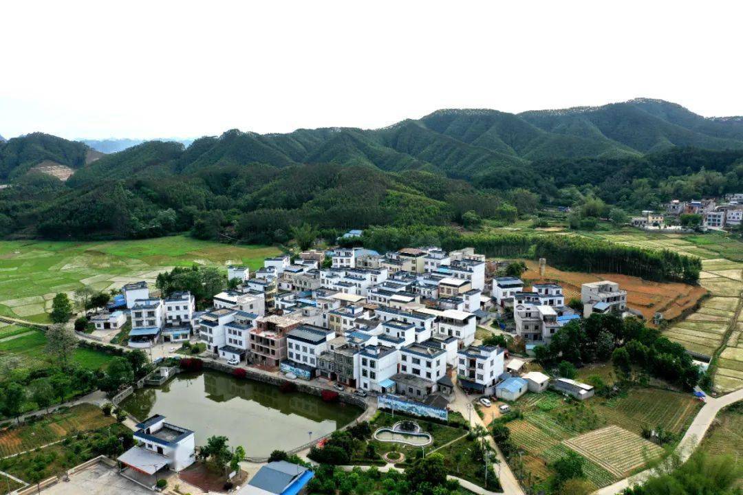 乡风文明丨上林县明亮镇石奇庄:以乡风文明助推乡村振兴_村庄_村民