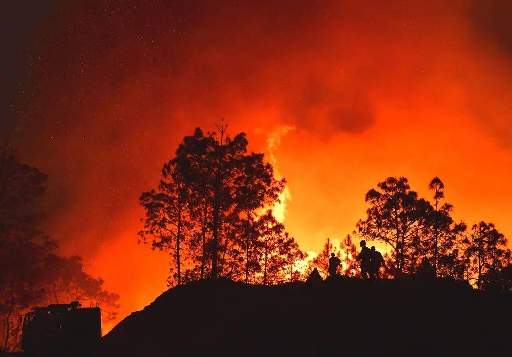 玉溪江川森林火灾已成功扑灭_视频_灭火_全屏