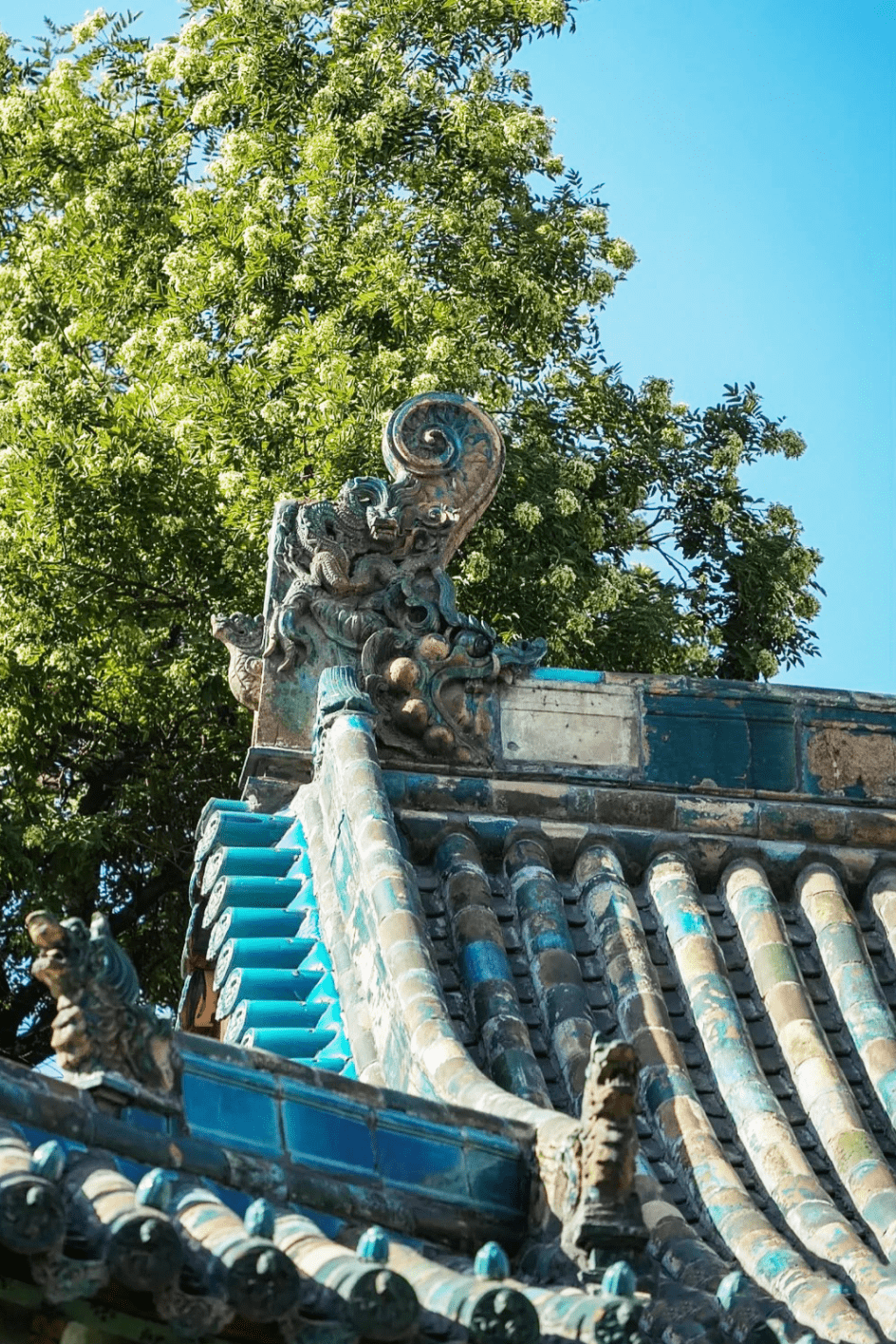 游迎泽 读历史丨石碑里的凛然正气_符缘启_符箓_碑文