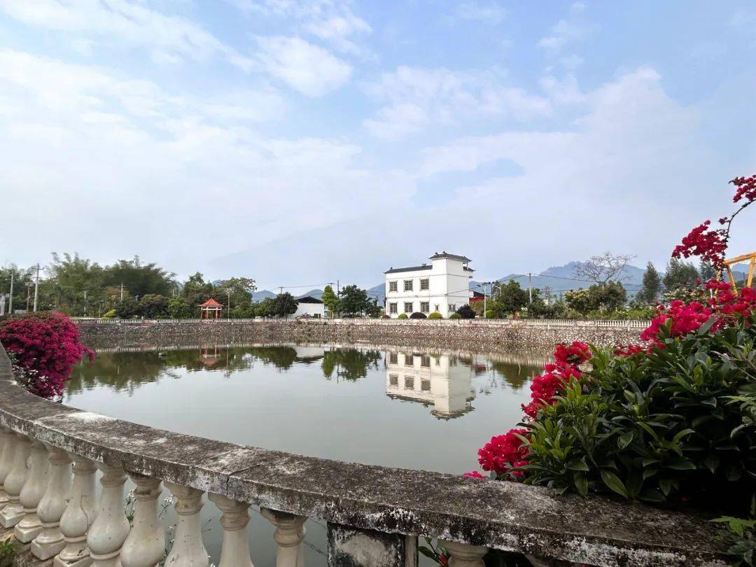 乡风文明丨上林县明亮镇石奇庄:以乡风文明助推乡村振兴_村庄_村民